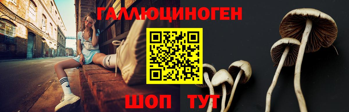 Псилоцибиновые грибы Psilocybine cubensis Заречный