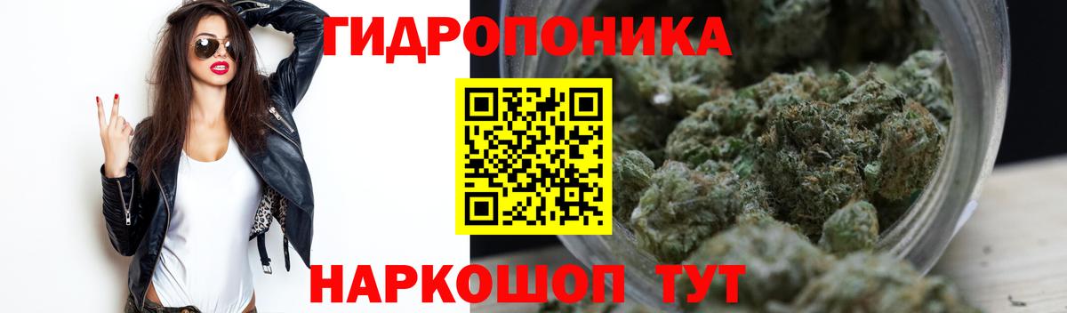 Конопля Amnesia Заречный